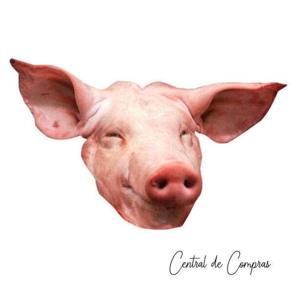 Cerdo Cabeza