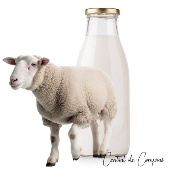 Leche de Oveja